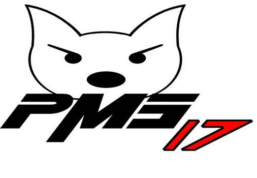 PMS17 (3441)